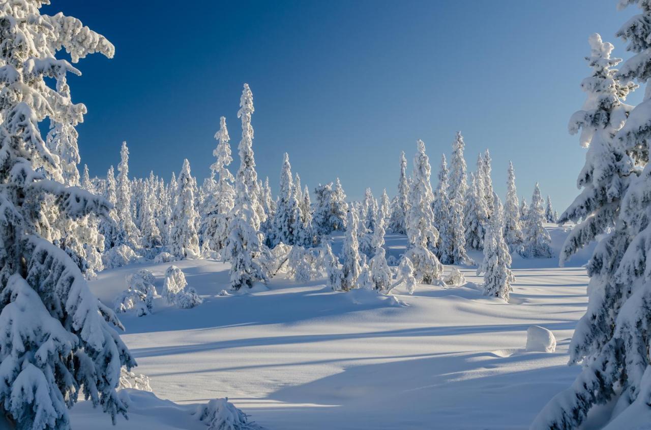 Blefjell Lodge Lampeland Bagian luar foto