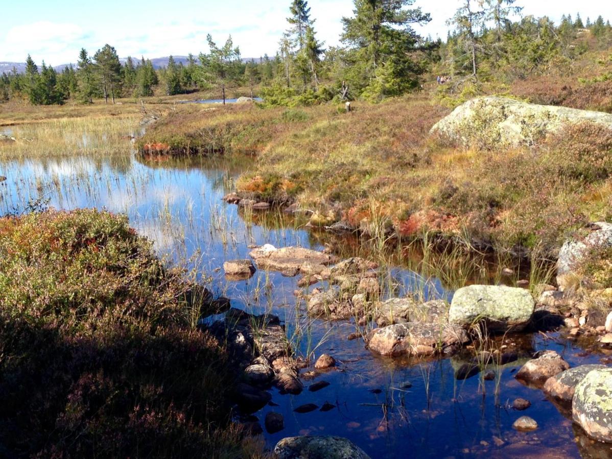 Blefjell Lodge Lampeland Bagian luar foto